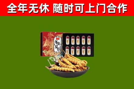 杜尔伯特县回收冬虫夏草价格
